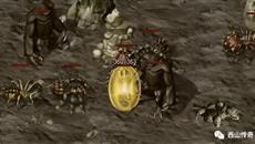 δ֪�����