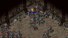 ��������ʥ��������ʥʲô��