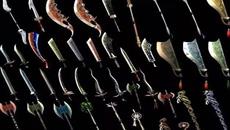 ���������Թ��е���ҫѫ��